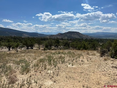 TBD Buckhorn Rd, Montrose, CO 81403 - photo 3