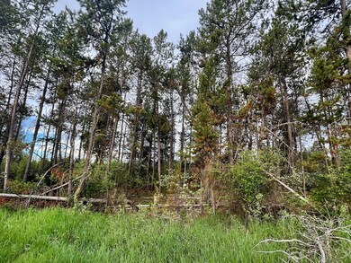 Secluded, Level, Wooded Lot