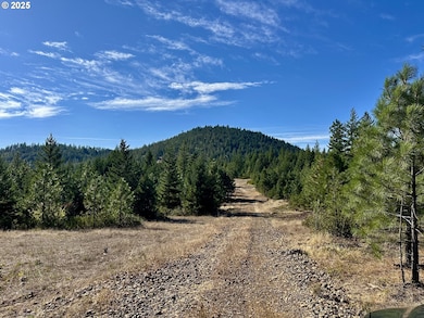 0 Black Butte Lot 7 unit 419110351, Goldendale, WA 98620 - photo 6