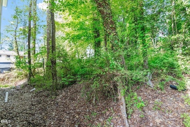 1408 South St, Durham, NC 27707 - photo 5