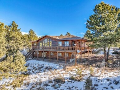 Log home in the pines