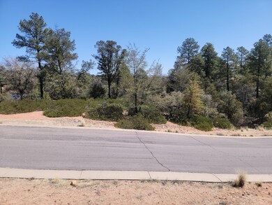 1109 N Alyssa Cir, Payson, AZ 85541 - photo 3