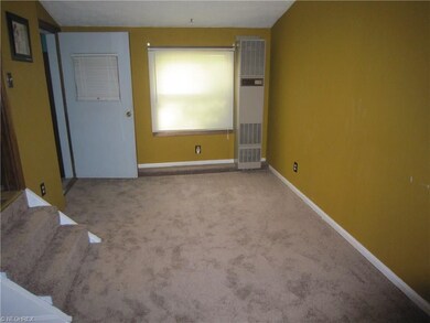 Step down into a family room with new carpeting an