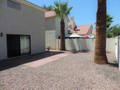 Open Back Yard