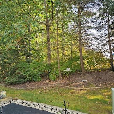 3449 Dewdrop Ln, Howell, MI 48843 - photo 3