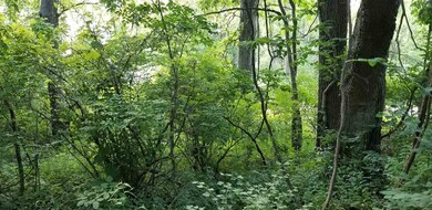 1849 N Mountain Lake Rd, Albion, IN 46701 - photo 2