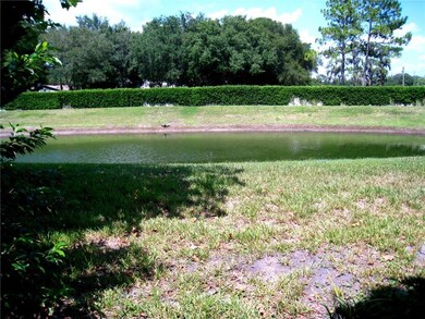 back pond view