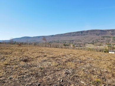 0 Industrial Pike, Whitwell, TN 37397 - photo 3