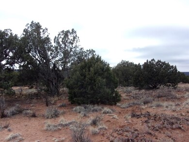 Apache Road 002