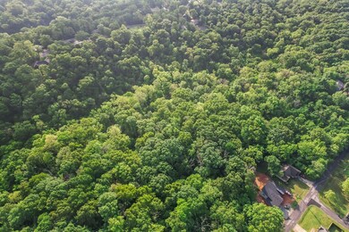 Lot 3 and 4 Bollington Dr, Bella Vista, AR 72715 - photo 4