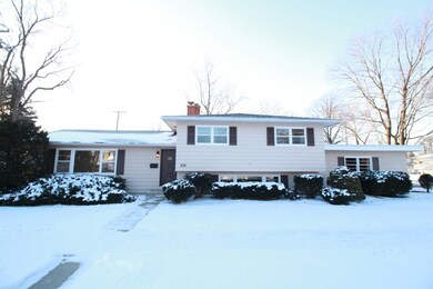232 Tamarack Ave, Naperville, IL 60540 - photo 2