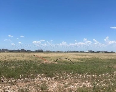 HT6 Rawhide Ridge, Canyon, TX 79015 - photo 5