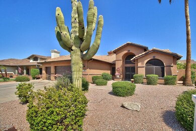 Beautiful Saguaro Cactus