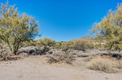 002_Looking West