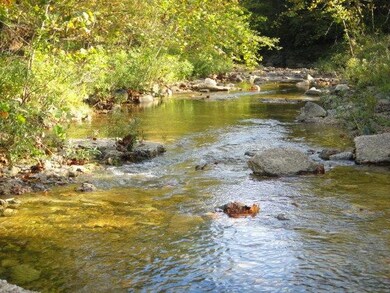 River waterfall close up view 4