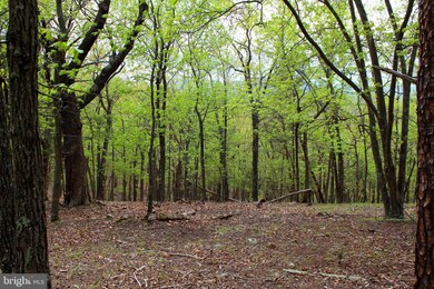 2669 Robert Ours Rd, Petersburg, WV 26847 - photo 7