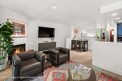 800 E Hopkins Ave unit A4, Aspen, CO 81611 - photo 4