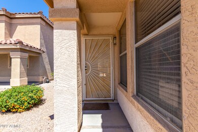 Security Door
