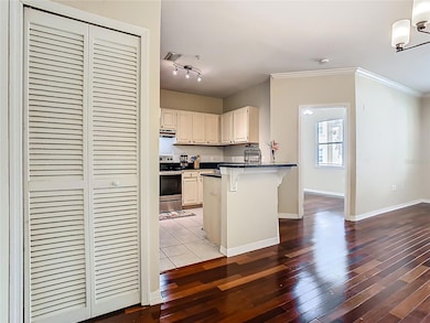 Living room + Kitchen