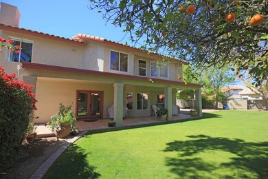 Large Covered Patio