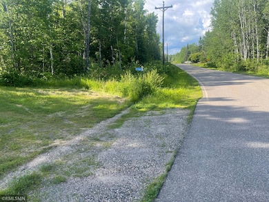 31069 Duluth Missabe and Iron, Greenway Township, MN 55775 - photo 2