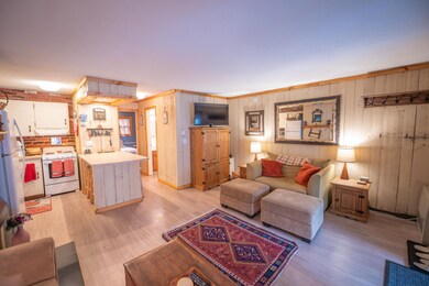 3 Fox Meadow Ln unit 3F, Dover, VT 05356 - photo 3