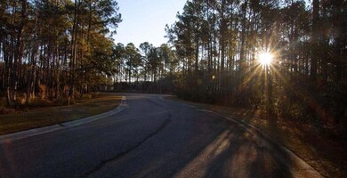 1461 Jeremy Cay Ct unit Lot 110, Awendaw, SC 29429 - photo 6