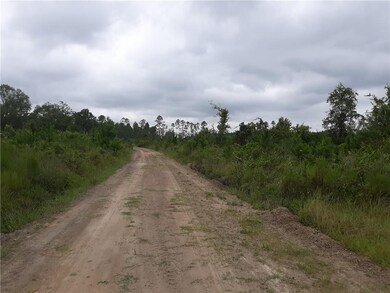 0 Lee Cir Johns Way unit 1612519, Nahunta, GA 31553 - photo 6