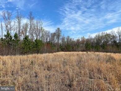Lot 5 Downton Ave, Livingston, VA 22553 - photo 2