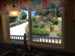 view from kitchen window