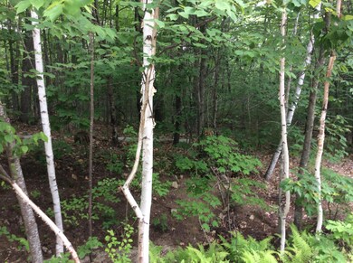 146 S Bridgton Rd, Bridgton, ME 04009 - photo 2