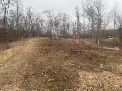 Lot 29 Hidden Meadow Ln, Blue River, WI 53518 - photo 6