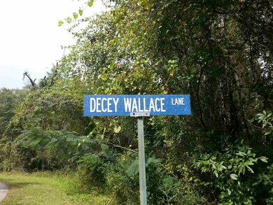 Lot 5 Decey Wallace Ln, Crawfordville, FL 32327 - photo 5