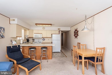 411B 146th St unit 331, Ocean City, MD 21842 - photo 7