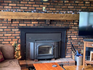 Woodburner with Blower