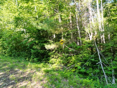 DJI_0756