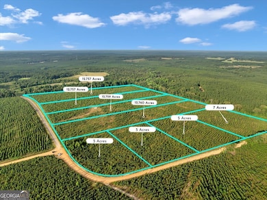 Parcel 12 Carl Rogers Rd, Reynolds, GA 31076 - photo 3