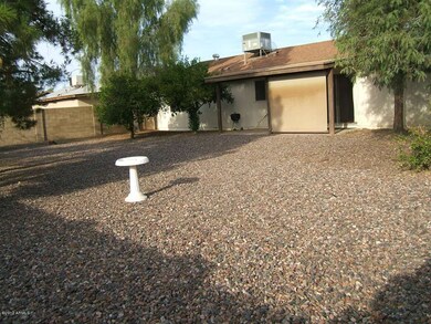 Backyard 1