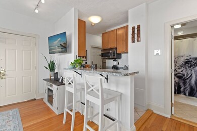 100 Saint Marys St unit 9, Boston, MA 02215 - photo 7