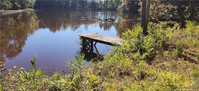 10 Jasmine Rd, Fuquay Varina, NC 27526 - photo 4