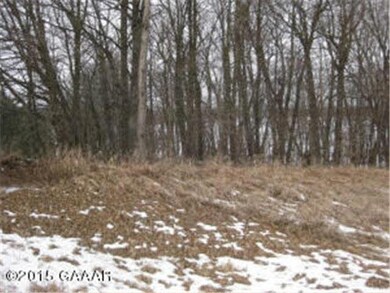 0 Lot 3 Country Ln SW unit 4712227, Farwell, MN 56327 - photo 2