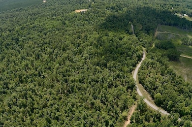 0 Mouse Tail Rd, Parsons, TN 38363 - photo 3