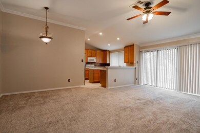Living room and kitchen