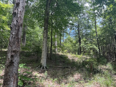 0 County Road 51, Greensboro, AL 36744 - photo 2