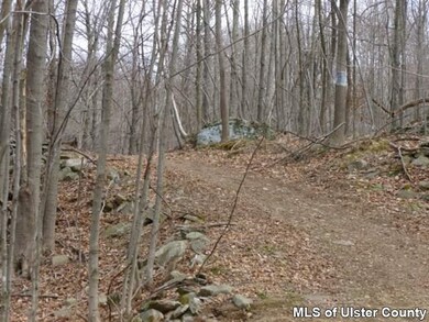 TBD - Lot 2 Pancake Hollow Rd, Highland, NY 12528 - photo 3