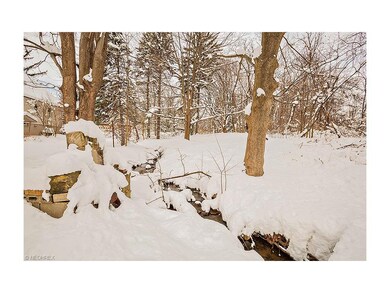 Small creek on back of property