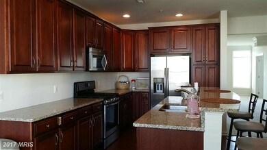 43061 Thoroughfare Gap Terrace unit 43061, Sterling, VA 20166 - photo 7