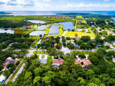 610 Lafayette Blvd, Oldsmar, FL 34677 - photo 5