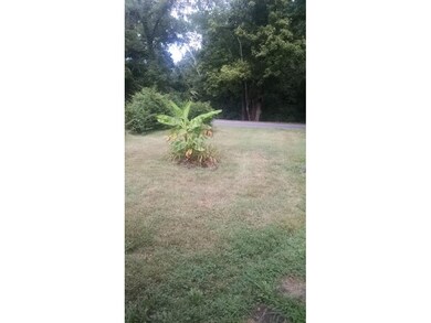 1714 E Unaka Ave, Johnson City, TN 37601 - photo 2