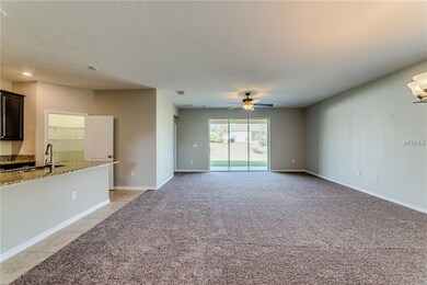 4835 Havilland Dr, Mount Dora, FL 32757 - photo 5